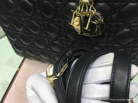 Tony Luxuries LARGE LADY BAG diro 0715